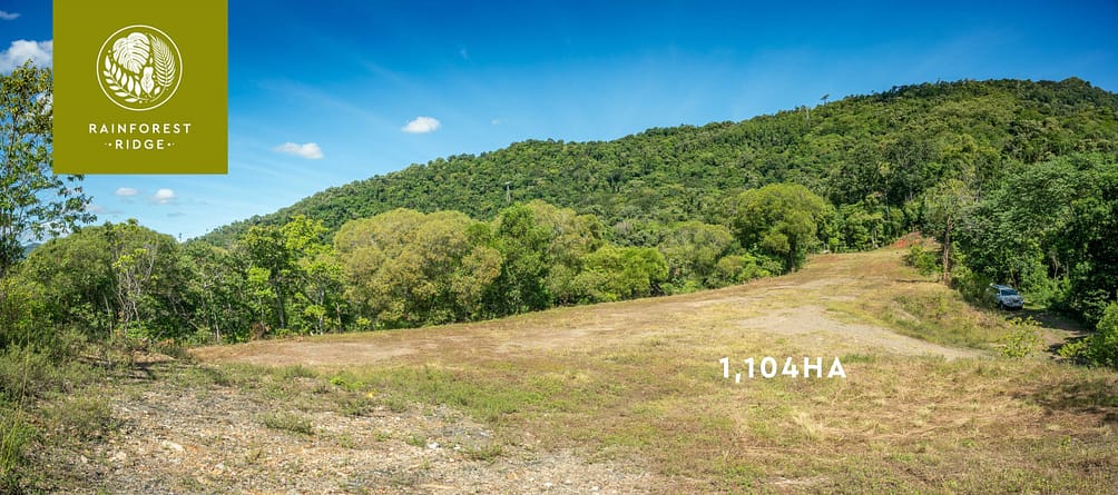 Rainforest Ridge – canopysedge